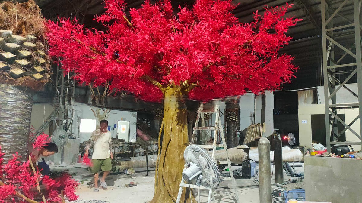 米林 芒果树联系方式查询