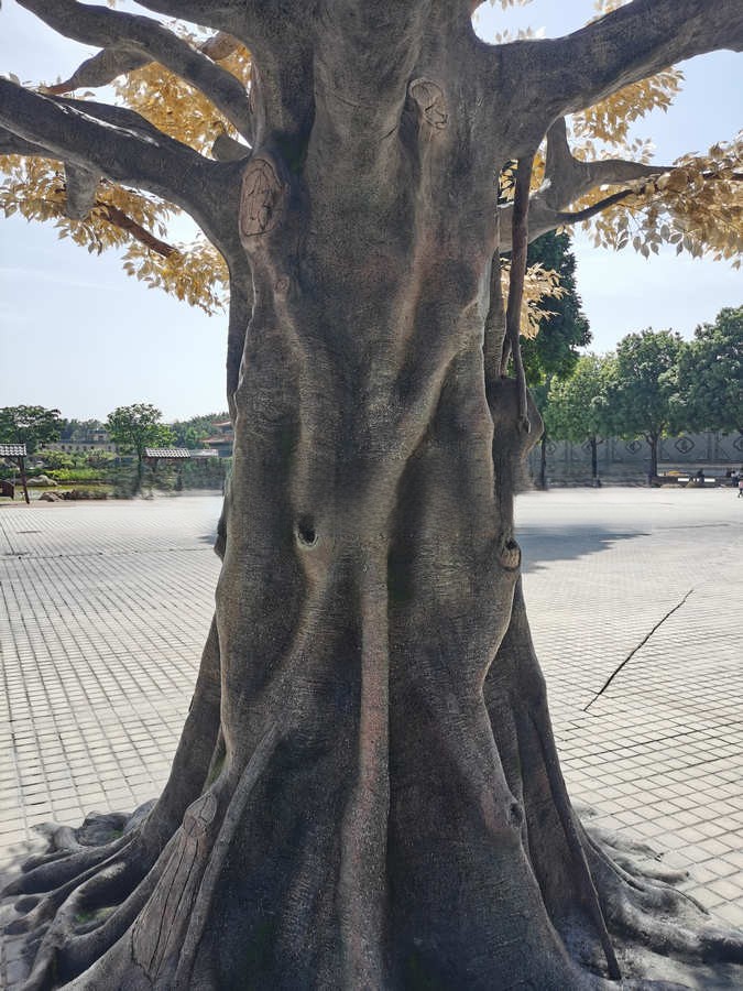 中山仿真植物在哪找