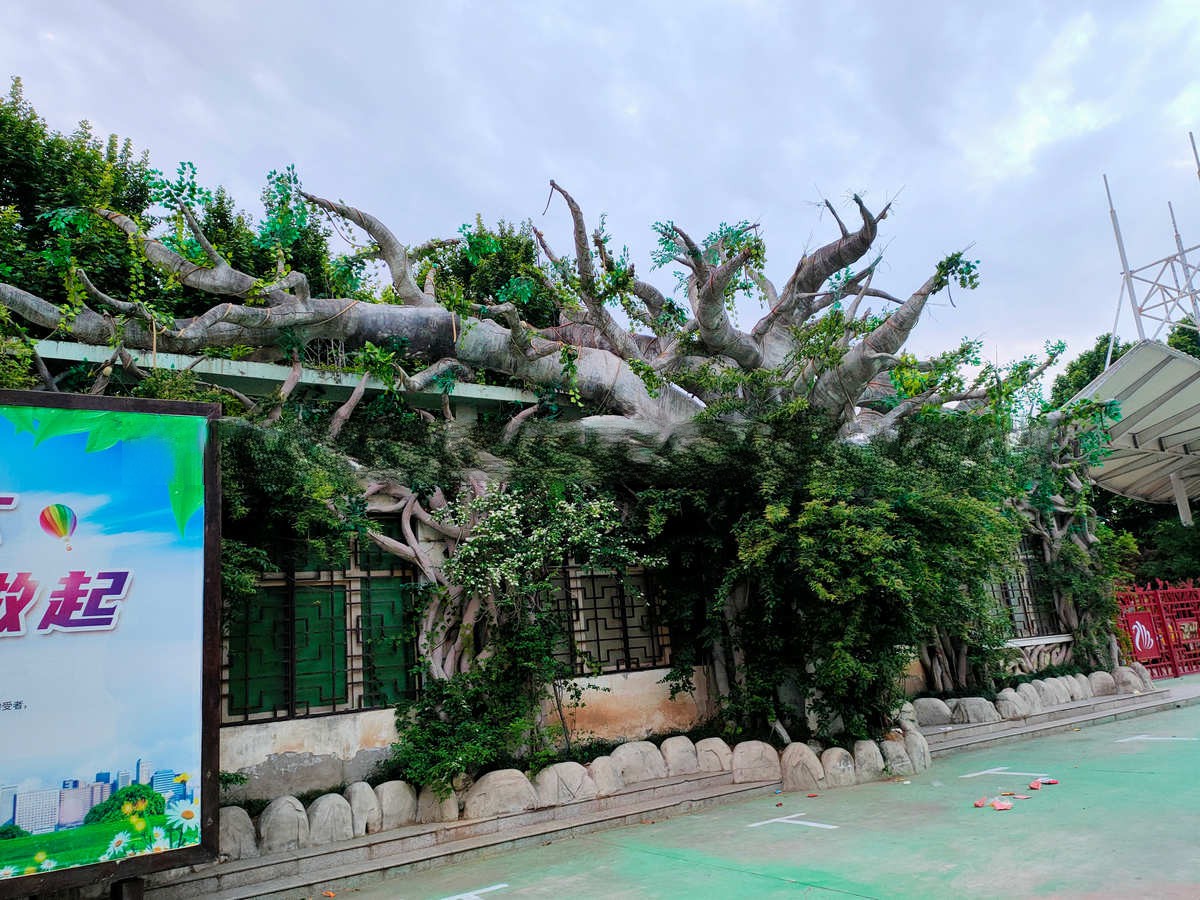 浦北 城市花园的仿真豆花树营造自然景观