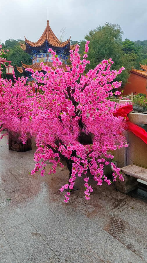 甘肃别样家居植物，仿真椰子树包邮全国送到门