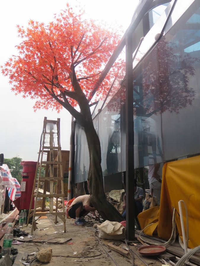 建瓯仿真塑料椰子树价格