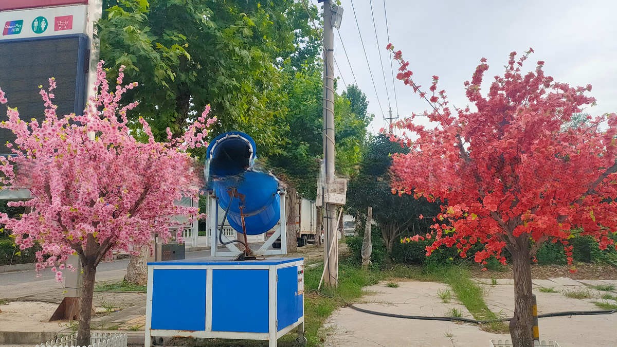 海州 垂钓湖畔三株仿古银杏树