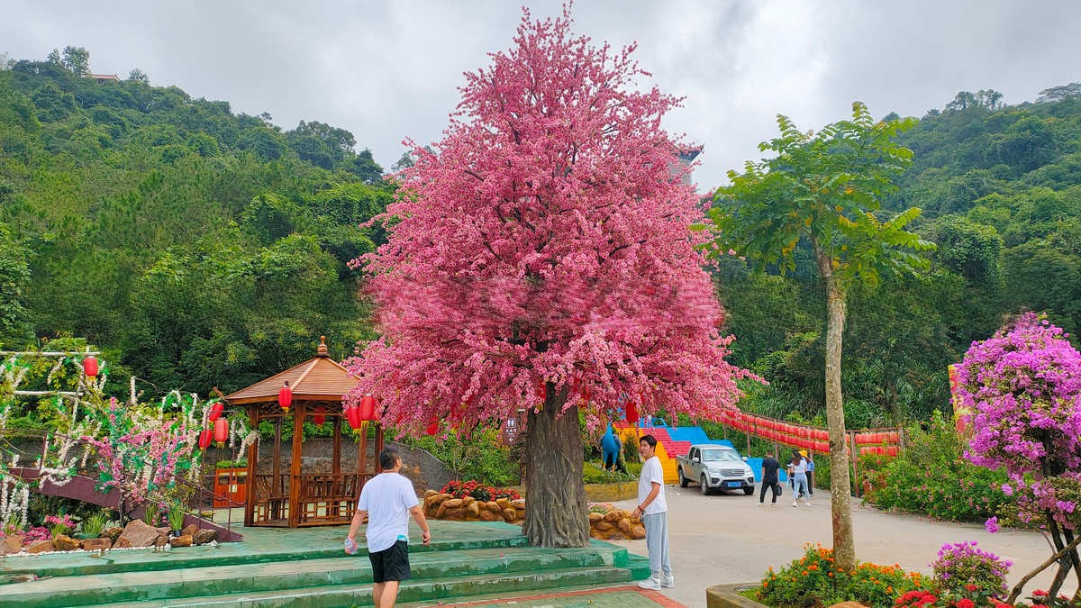 麻城仿真豆花树包柱