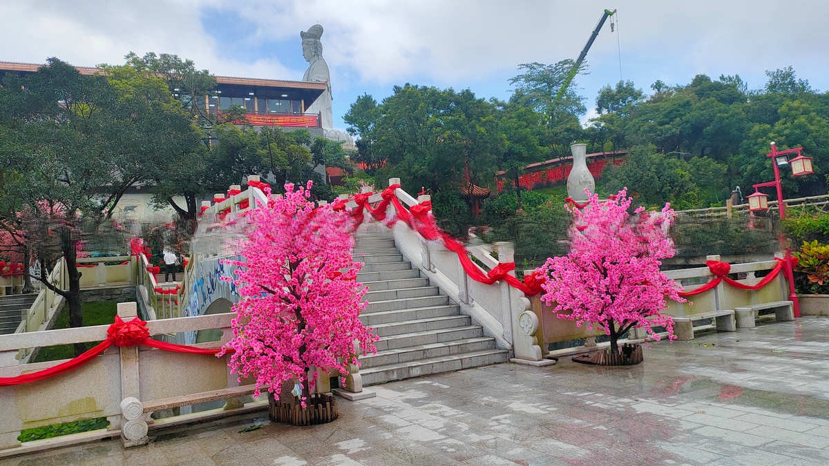 肃南 大街小巷添新艳装——豆花树装饰