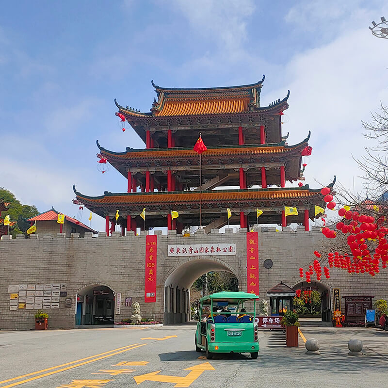 建湖 味蕾惊艳，仿真豆花树来袭