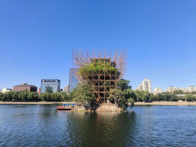 仿真樱花树造景打卡